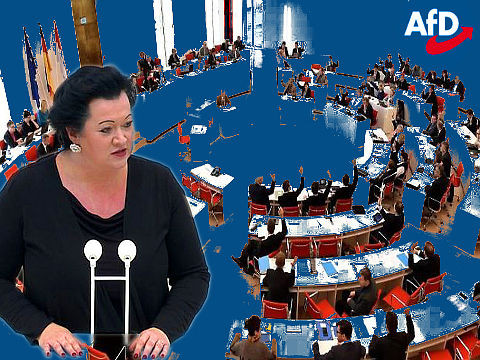 AfD: Warum soll man Illegalität noch belohnen?