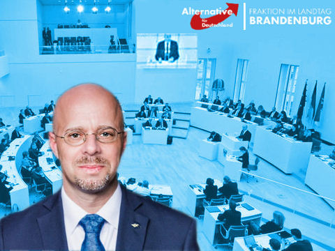 AfD: Reform für "Tolerante Brandenburg" nötig