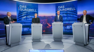 Les Etats-Unis mettent la campagne &eacute;lectorale allemande sous tension