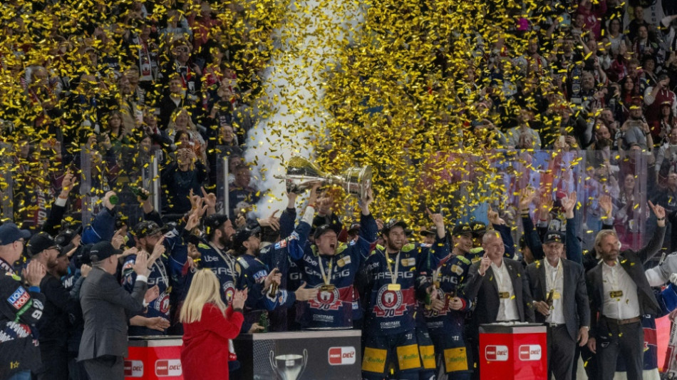 Play-offs, Deutschland Cup, Olympia: Der Fahrplan der DEL-Saison