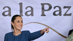 Mexique : La pr&eacute;sidente Claudia Sheinbaum officialise le lancement d'un programme de d&eacute;sarmement 