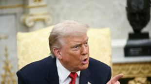 Trump to charge $1bn for permanent 'peace board' membership: reports