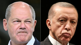 Zentralrat: Erdogan "darf kein Partner f&uuml;r die deutsche Politik sein"