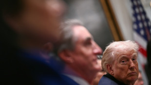 Trump dice que "parece" que Ham&aacute;s entregar&aacute; las armas