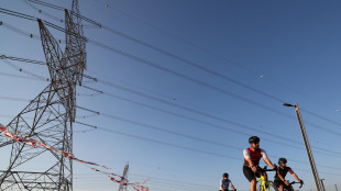 Domanda di elettricit&agrave; nel 2023 in calo del 3,2% in Italia