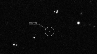 Rising odds asteroid that briefly threatened Earth will hit Moon