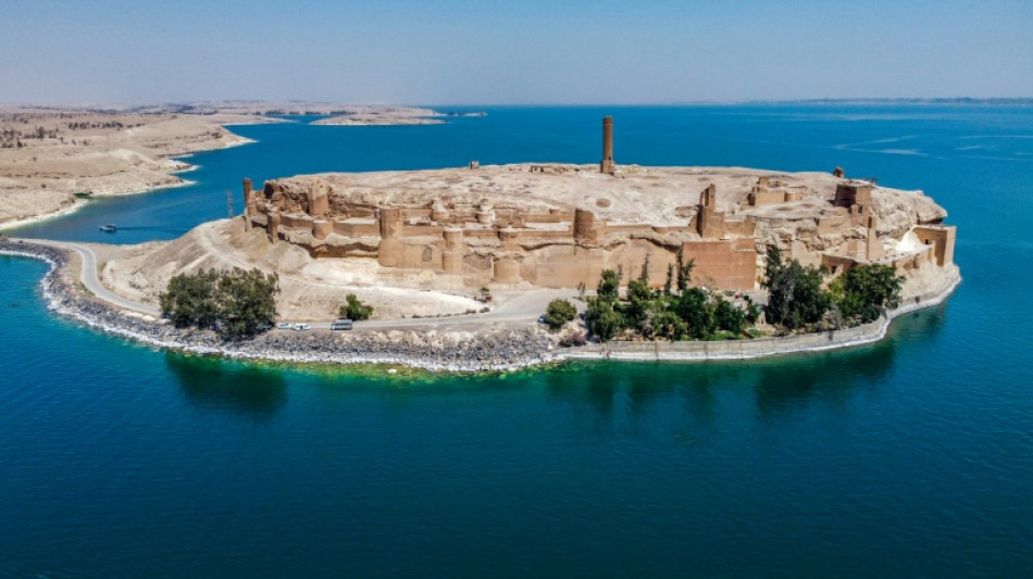 Syrie: une citadelle autrefois occup&eacute;e par l'EI attire &agrave; nouveau les visiteurs