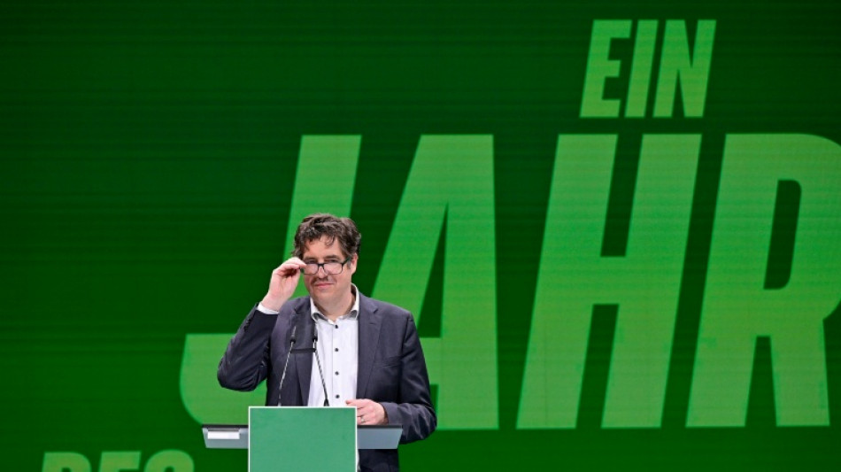  Gr&uuml;ne fordern Koalition zu R&uuml;cknahme von Pl&auml;nen f&uuml;r Heizungsgesetz auf 
