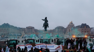 Los agricultores franceses protestan contra el acuerdo UE-Mercosur