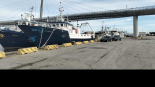 Pescherecci fermi a Pescara, 'pronti a scioperi più importanti'