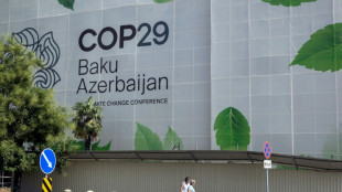 "Finance pour le climat": Bercy d&eacute;voile ses chiffres en baisse juste avant la COP29