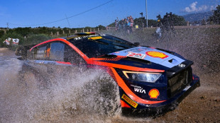Neuville leads Rally Italia as Ogier crashes out