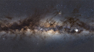 Découverte d'un objet inconnu dans la Voie lactée par des astronomes australiens