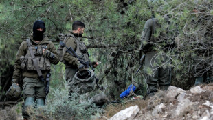 Dos pastores muertos en el L&iacute;bano por disparos israel&iacute;es