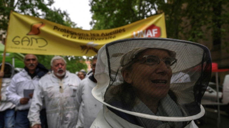 Des apiculteurs manifestent contre les pesticides à Toulouse et Bordeaux