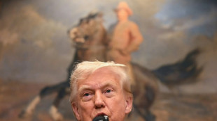 Trump expressa 'descontentamento' por reconhecimento internacional de Estado palestino