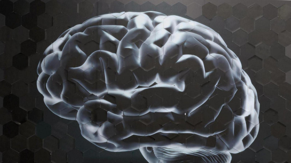  La coscienza si cerca nelle connessioni alla base del pensiero 
