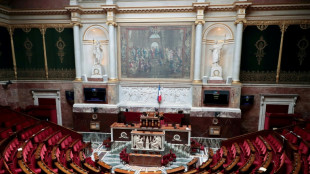 L&eacute;gislatives: les tractations se poursuivent, la gauche raviv&eacute;e d&eacute;barque &agrave; l'Assembl&eacute;e
