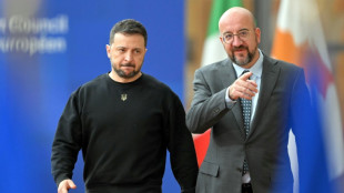 Une Ukraine "forte" pour n&eacute;gocier: Zelensky d&eacute;cline son plan devant l'UE et l'Otan