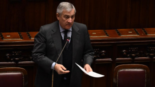 Tajani, 'domani in Israele discuter&ograve; rilancio due Stati'