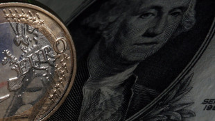 Euro stabile, a 1,1732 dollari