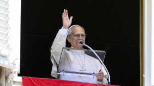 Il Papa, annuncio la pace, chi mi critica per questo lo faccia