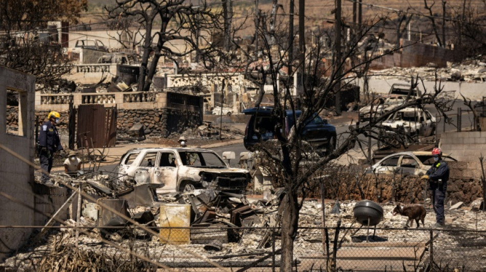 Incendies &agrave; Hawa&iuml;: d&eacute;mission du responsable de la gestion des crises de Maui