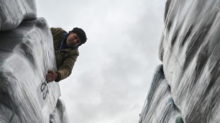 Esperti Onu denunciano sparizioni forzate a centri aiuti Gaza