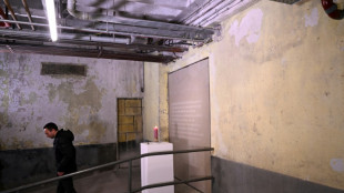 Alemania se moviliza y dice "nunca m&aacute;s" en el D&iacute;a en Memoria del Holocausto
