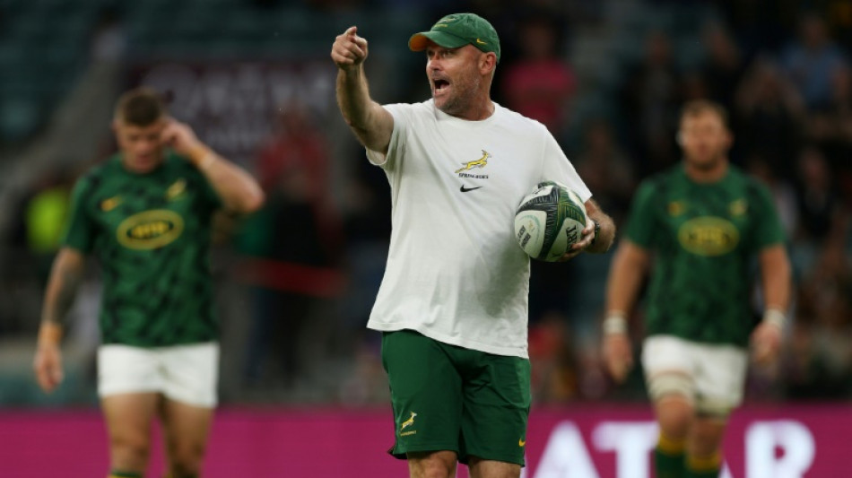 'No-ego' former physio Nienaber an unlikely Springboks coach
