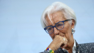 Lagarde, pi&ugrave; rinnovabili unica via per sicurezza energetica Ue