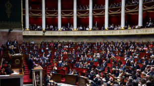 Une loi contre les ing&eacute;rences &eacute;trang&egrave;res en passe d'&ecirc;tre adopt&eacute;e au Parlement