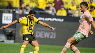 Brighton sign Dahoud from Dortmund