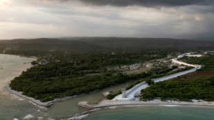 Muro 'anti-Haiti', uma bandeira eleitoral na República Dominicana