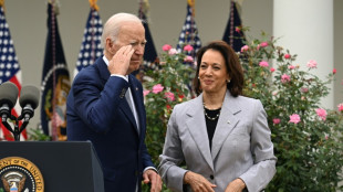 Les d&eacute;mocrates s'activent &agrave; trouver un candidat pour remplacer Biden