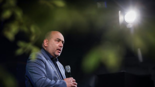 Gr&uuml;nen-Chef Nouripour fordert Verbot von AfD-Jugendorganisation
