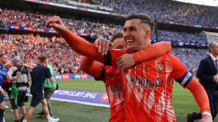 Luton complete fairytale rise to Premier League riches