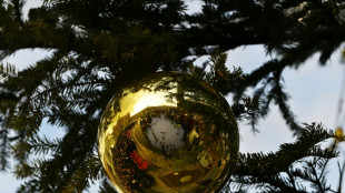 Stocks tepid in thin pre-Christmas trade