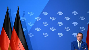 Le congr&egrave;s de l'extr&ecirc;me droite allemande d&eacute;marre au milieu des manifestations