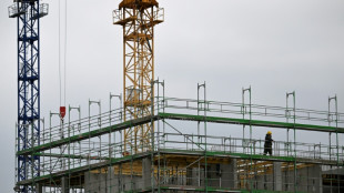 Nach Pleite von Bauträger: BGH urteilt im Februar über Weiterbau von Dachgeschoss