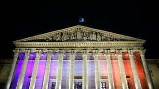 Franz&ouml;sisches Parlament verabschiedet Sondergesetz zur Haushalt-&Uuml;bertragung 