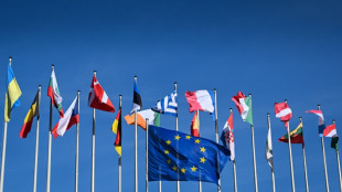 Jeux vid&eacute;o: l'UE saisie d'une plainte pour pratiques trompeuses