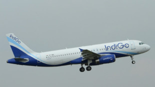 La aerol&iacute;nea india IndiGo encarga un pedido r&eacute;cord de 500 Airbus A320