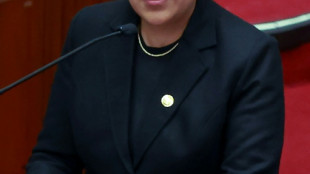 Peru quer mudar normas sobre asilo diplom&aacute;tico, ap&oacute;s caso de ex-premier