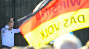 Scores historiques en vue pour l'extr&ecirc;me droite dans l'est de l'Allemagne