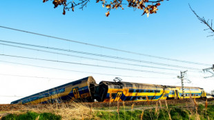 Un muerto y decenas de heridos en un accidente de tren en Pa&iacute;ses Bajos