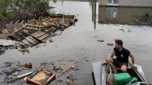Ukraine dam destruction takes heavy environmental toll: NGOs