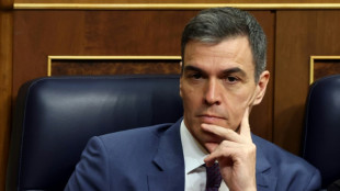 Pedro S&aacute;nchez d&eacute;cide de rester &agrave; la t&ecirc;te du gouvernement espagnol