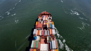 Maersk, 'una nostra nave ha lasciato Hormuz sotto scorta militare Usa'