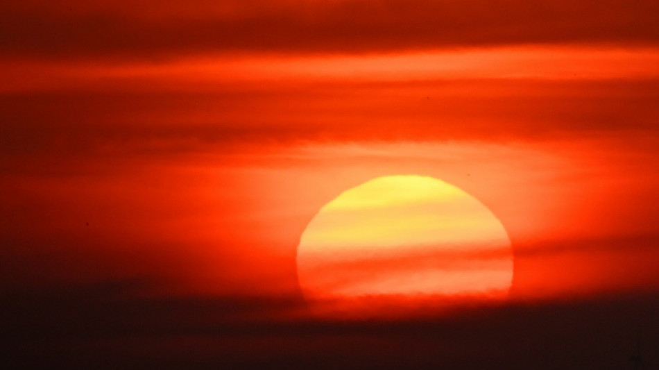  Europe swelters as heatwave moves east, excess deaths rise 